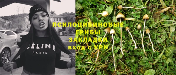 гашик Артём