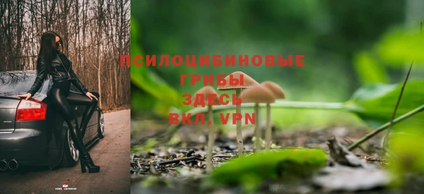 jwh Бердск
