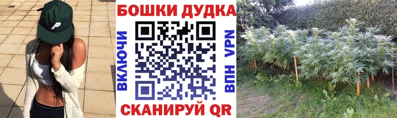 хочу наркоту  Поворино  МАРИХУАНА сатива 